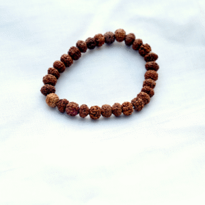 pachmukhi-rudraksh-bracelet