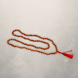 satmukhi-rudraksh-mala