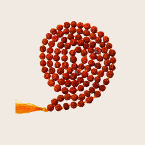 rudraksh-mala-colour-medium-dana